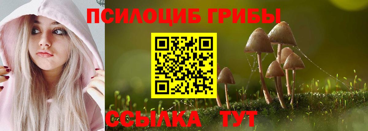 Псилоцибиновые грибы Psilocybine cubensis Сочи